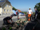 Grünstreifen ökologische gestaltet