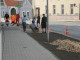 Strauch und Staudenpflanzung